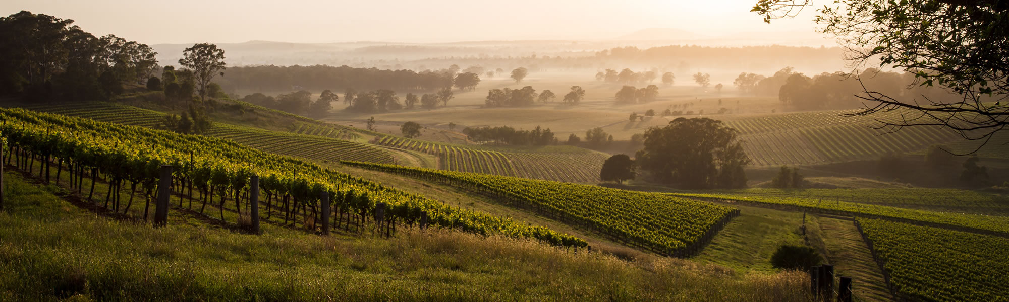 Hunter Valley